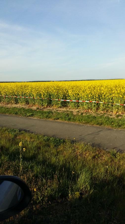 Natur-Freude-19P Kotzen Kültér fotó